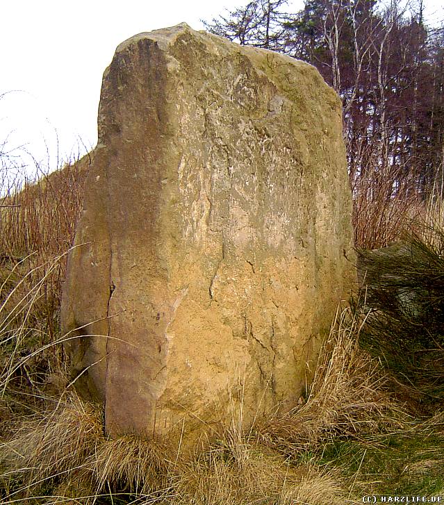 Megalith bei Langelsheim